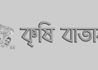 চুইঝাল-কৃষির-নতুন-সেনসেশন