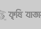 হাওরে-ধানের-ঝুঁকি-কমাতে-আগাম-জাতের-ধানের-চাষে-গুরুত্ব-দেয়া-হচ্ছে:-কৃষিমন্ত্রী