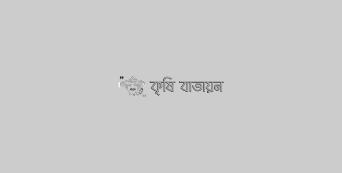 আমের রোগবালাই