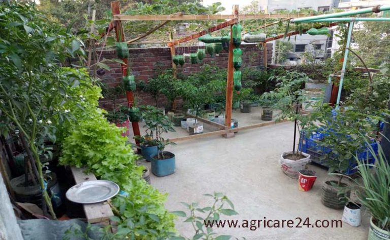 একটি আদর্শ টব তৈরির কৌশল ও নিয়ম-কানুন