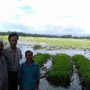 পৌরসভা ব্লক, নলছিটি, ঝালকাঠি।